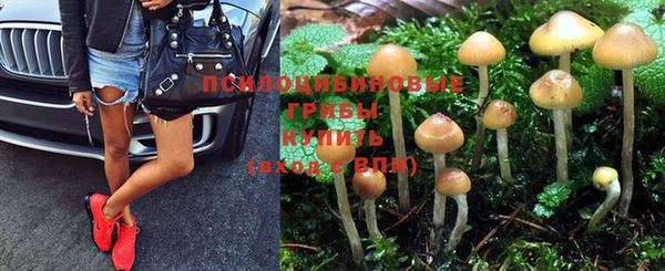 дживик Пересвет