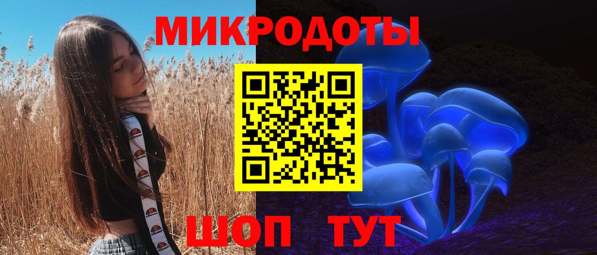 Галлюциногенные грибы GOLDEN TEACHER Моршанск