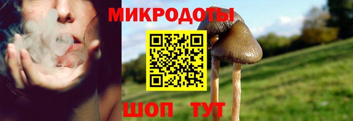 Моршанск  Псилоцибиновые грибы мухоморы  Вход с VPN  Псилоцибиновые грибы GOLDEN TEACHER 